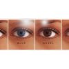 Contacts FreshLook | Freshlook Freshlook Colors 6 Pack Contact Lenses