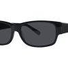 Sunglasses Cole Haan | Cole Haan Ch672 Sunglasses Black W/Smoke Solid Lenses