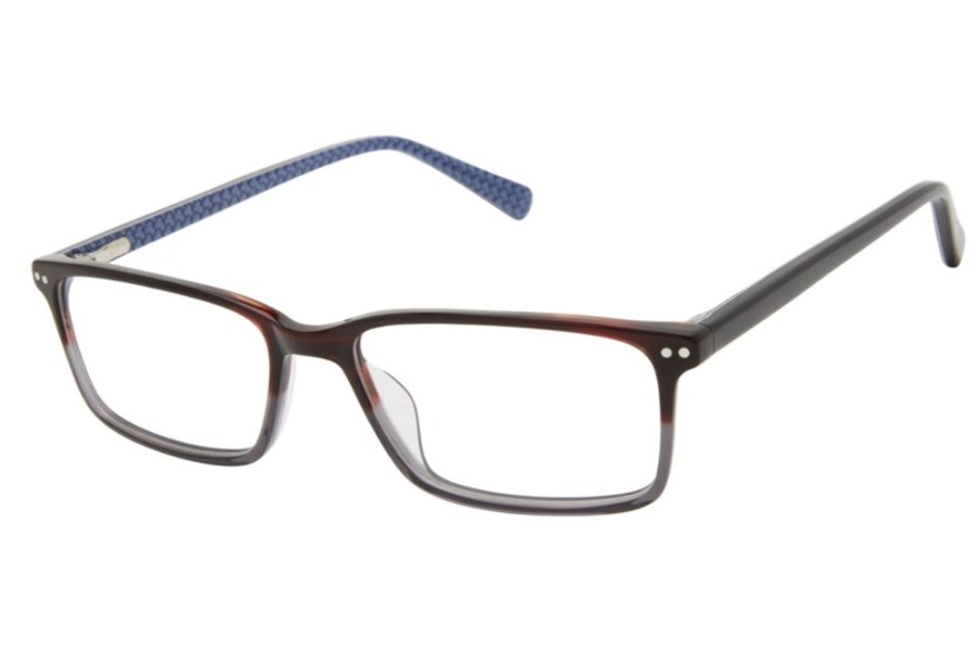 Eyeglasses Ted Baker | Ted Baker B979 Eyeglasses